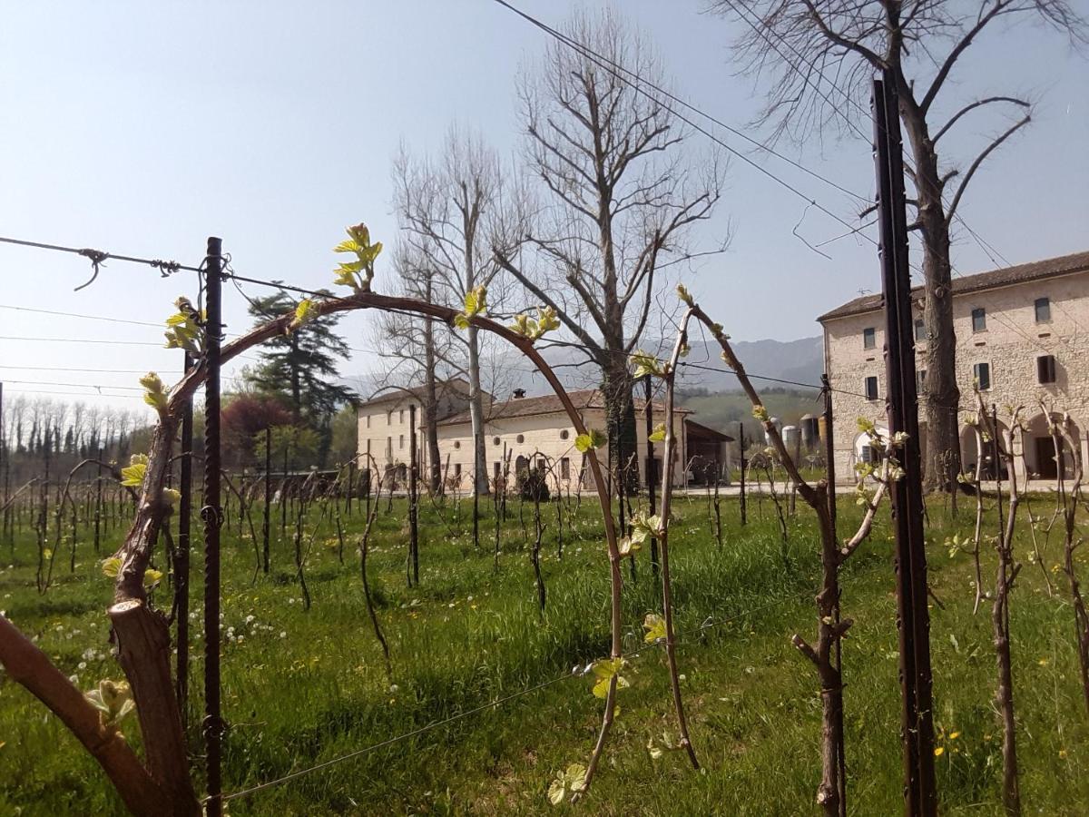 Agriturismo La Bella Follina Екстер'єр фото